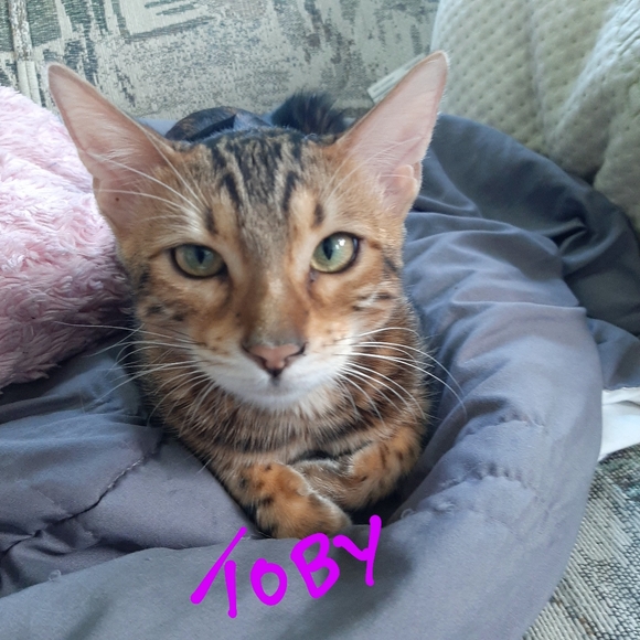 Meet your Posher, Felice - Picture 7 of 7